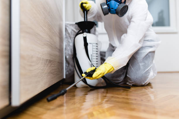 Best Best Pest Control Companies  in Lookout Mountain, AL