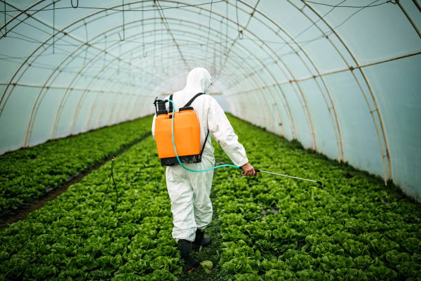 Best Ant Control Services  in Lookout Mountain, AL