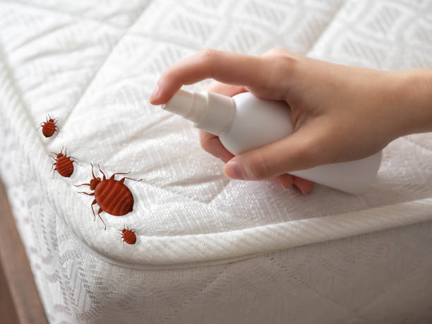 Best Flea Control Services  in Lookout Mountain, AL