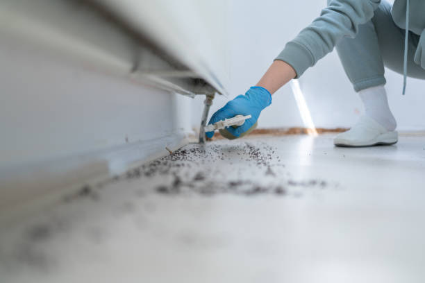 Best Residential Pest Control  in Lookout Mountain, AL