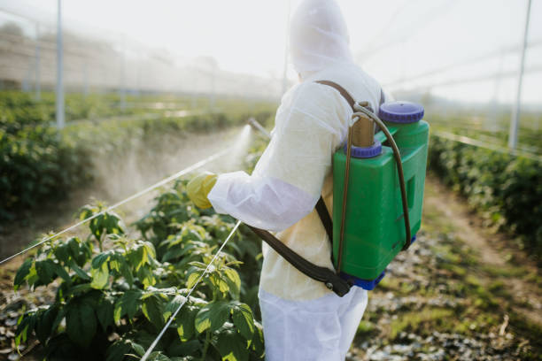 Best Best Pest Control Companies  in Lookout Mountain, AL
